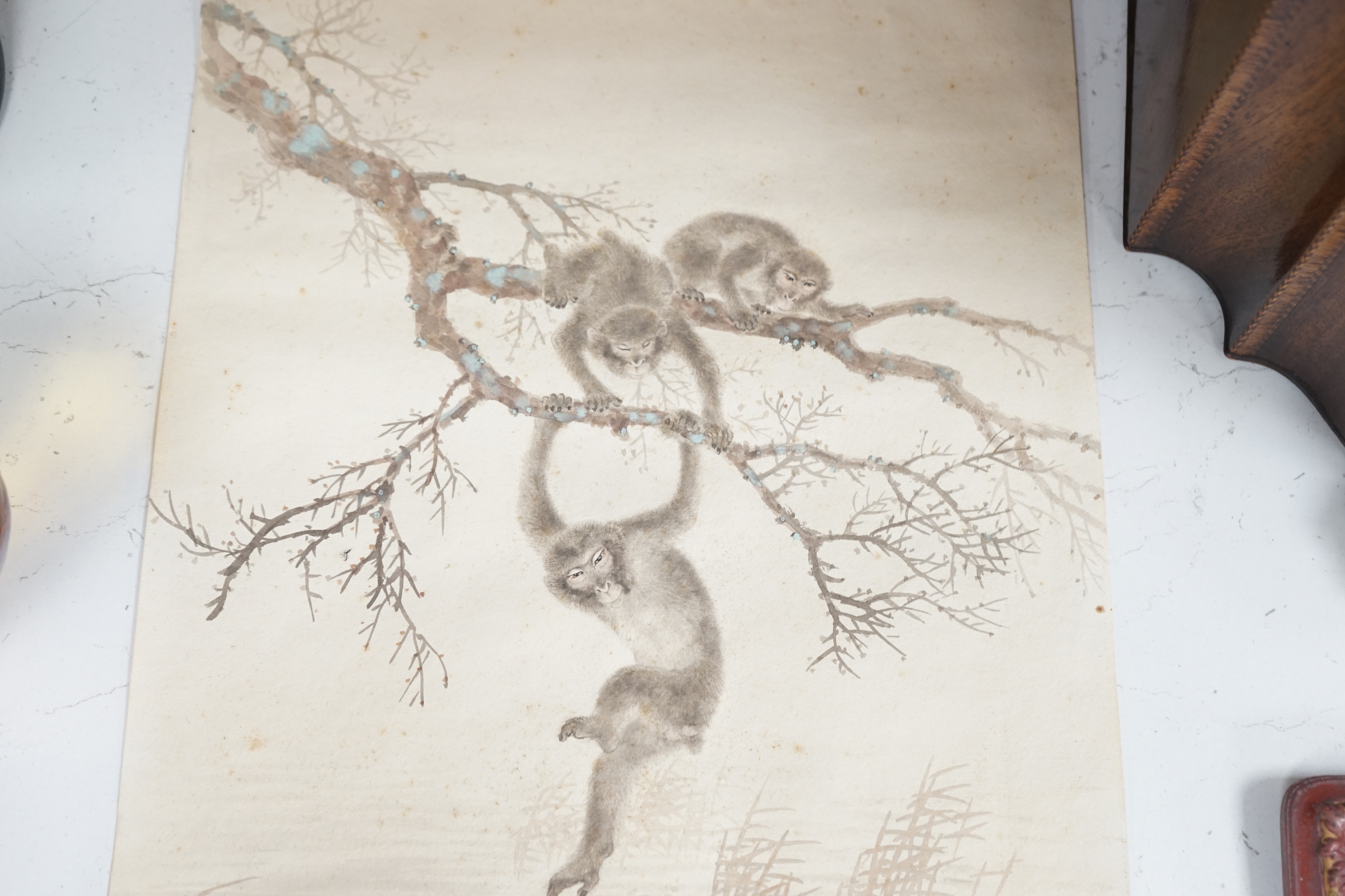 Chinese School, watercolour on card, Monkeys on a branch, with red seal marks, 50 x 32cm, unframed